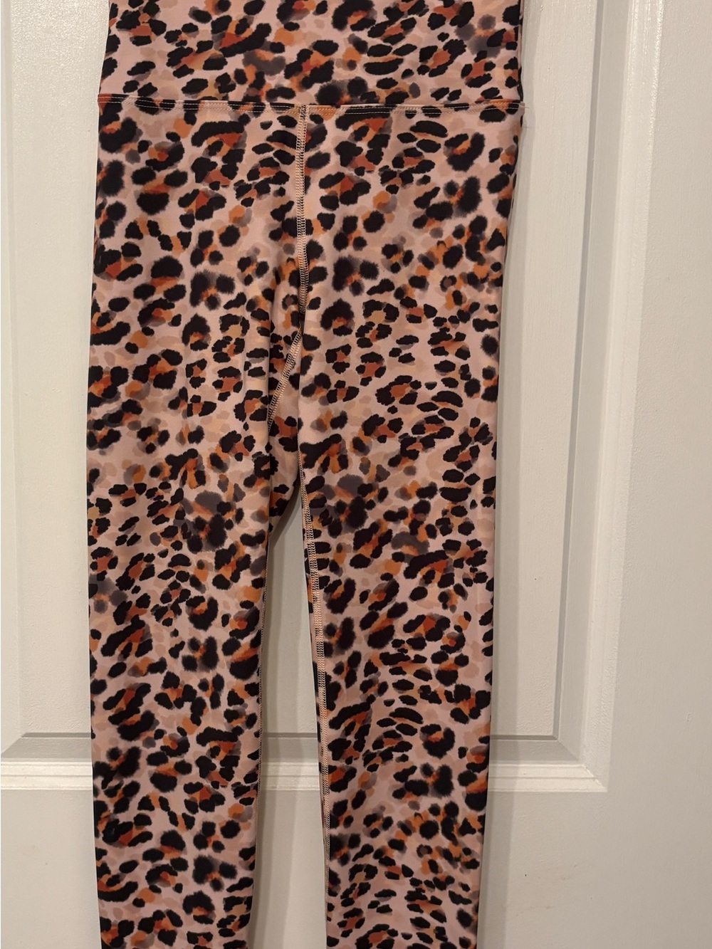 Beach Riot Leopard Print High-Waist Leggings in Black and Tan